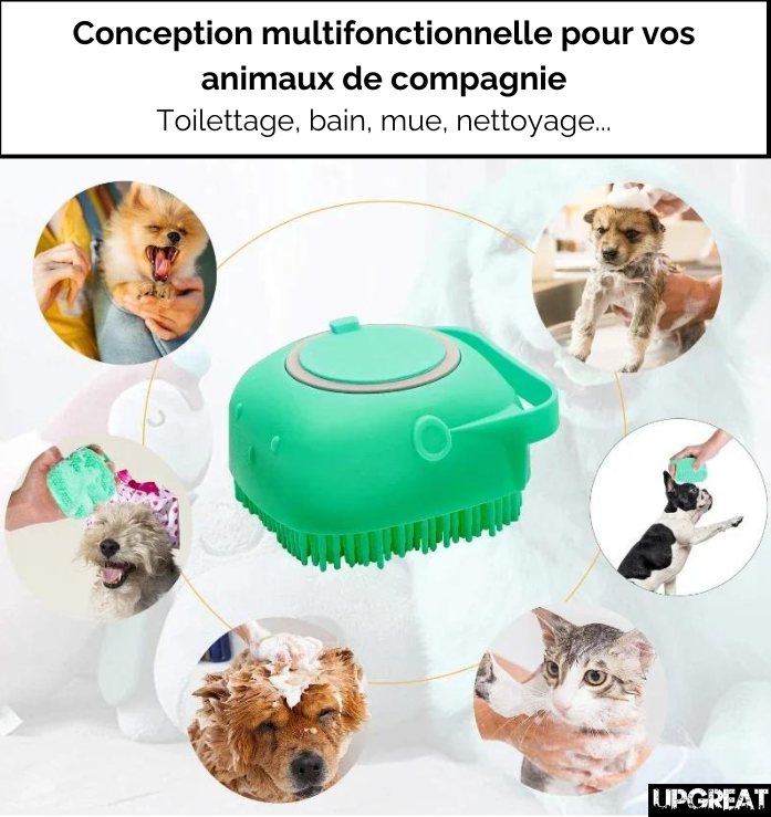 brosse shampoing pour animaux avec photos de chiens et chats qui se font laver