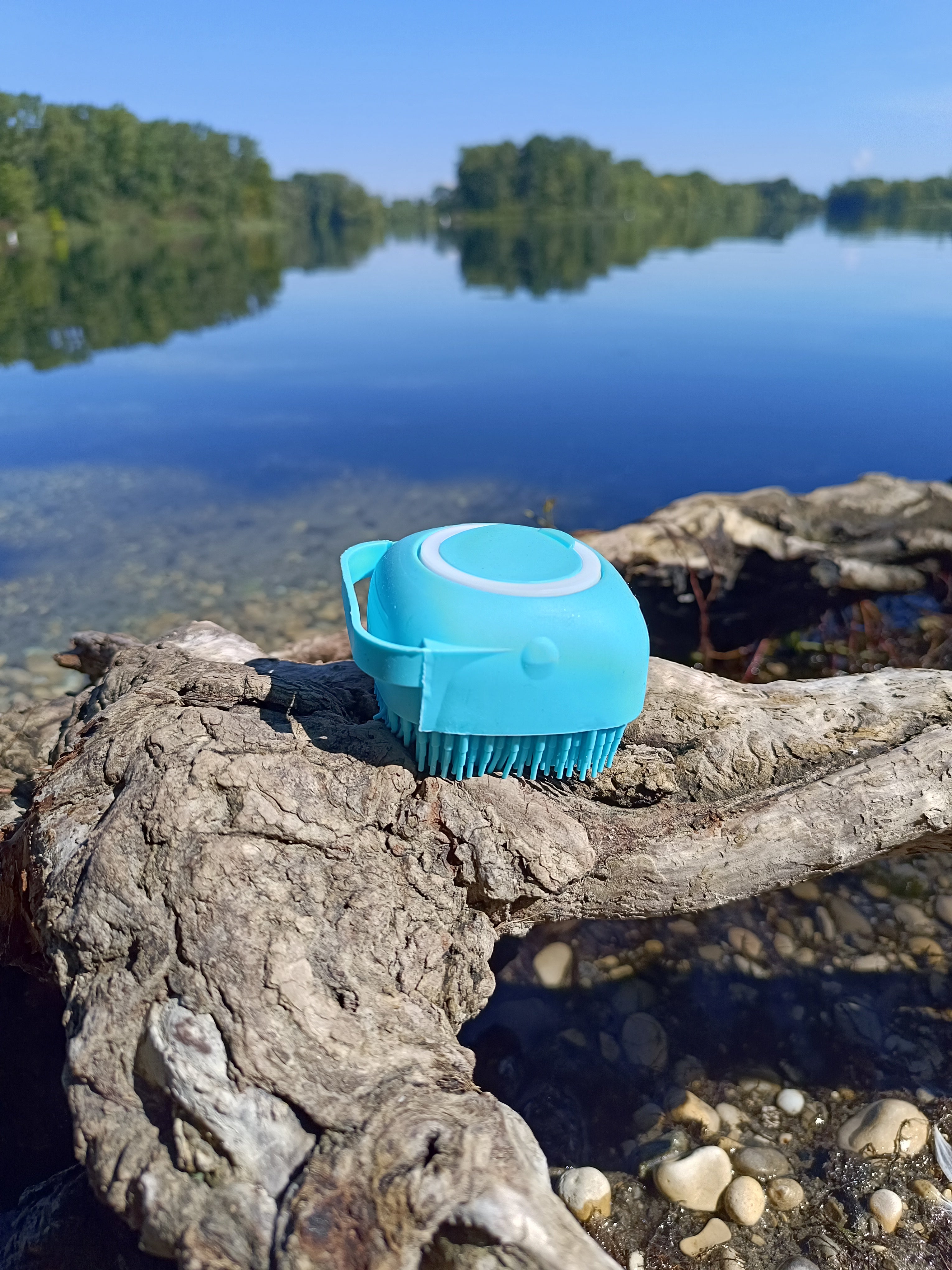 brosse shampoing sur une branche 