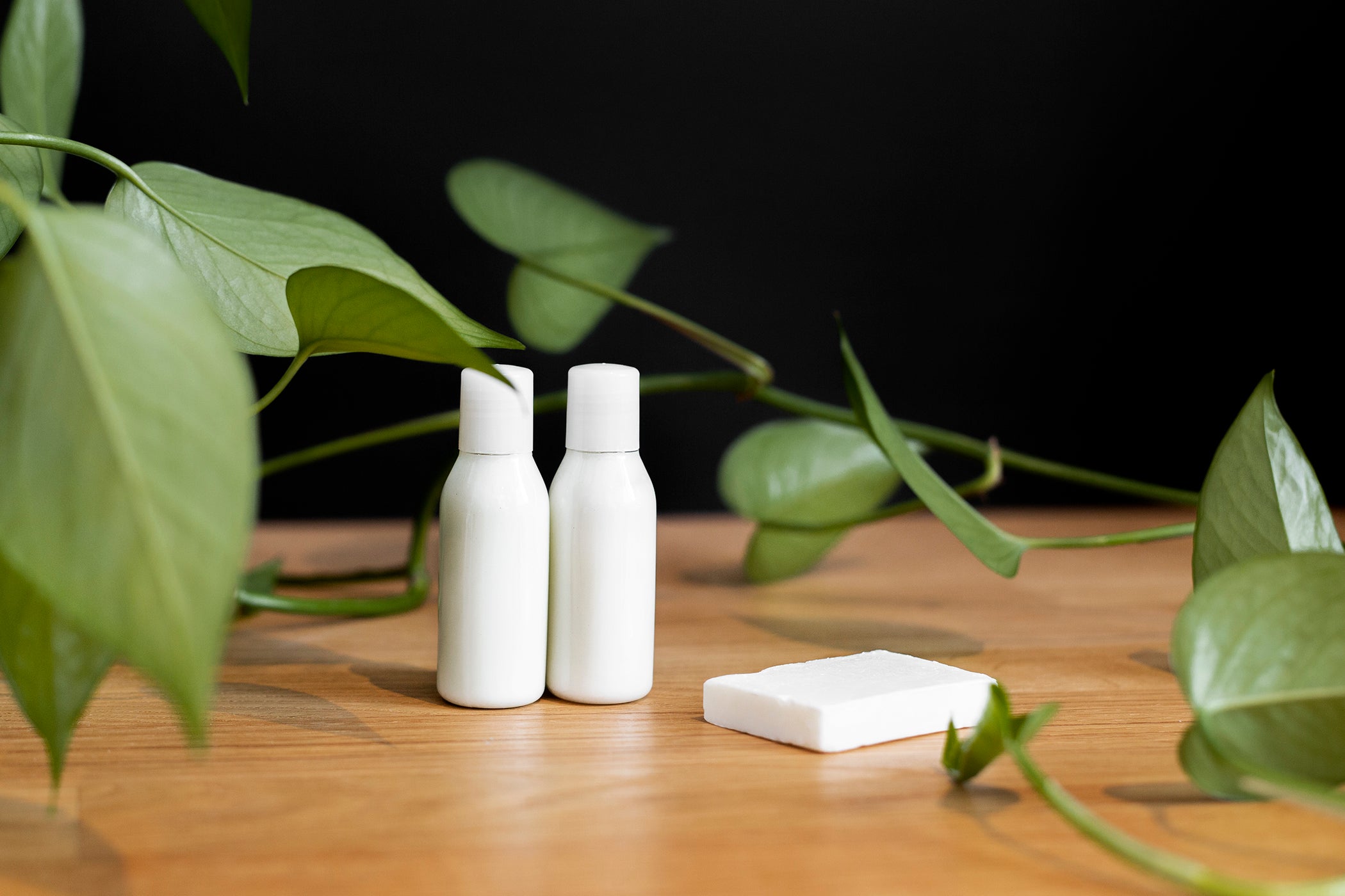 2 flacons blancs avec un savon blanc sur une table avec une liane et des feuilles 