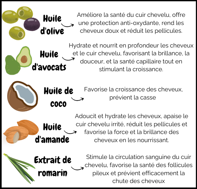 Huile d'olive / huile d'avocats / huile de coco / huile d'amende / extrait de romarin